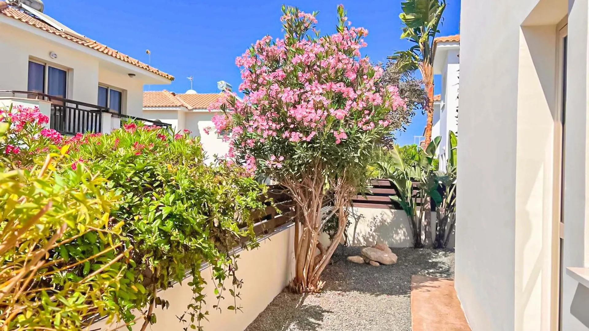 פרוטאראס Villa Thalassa Polyxenia קפריסין